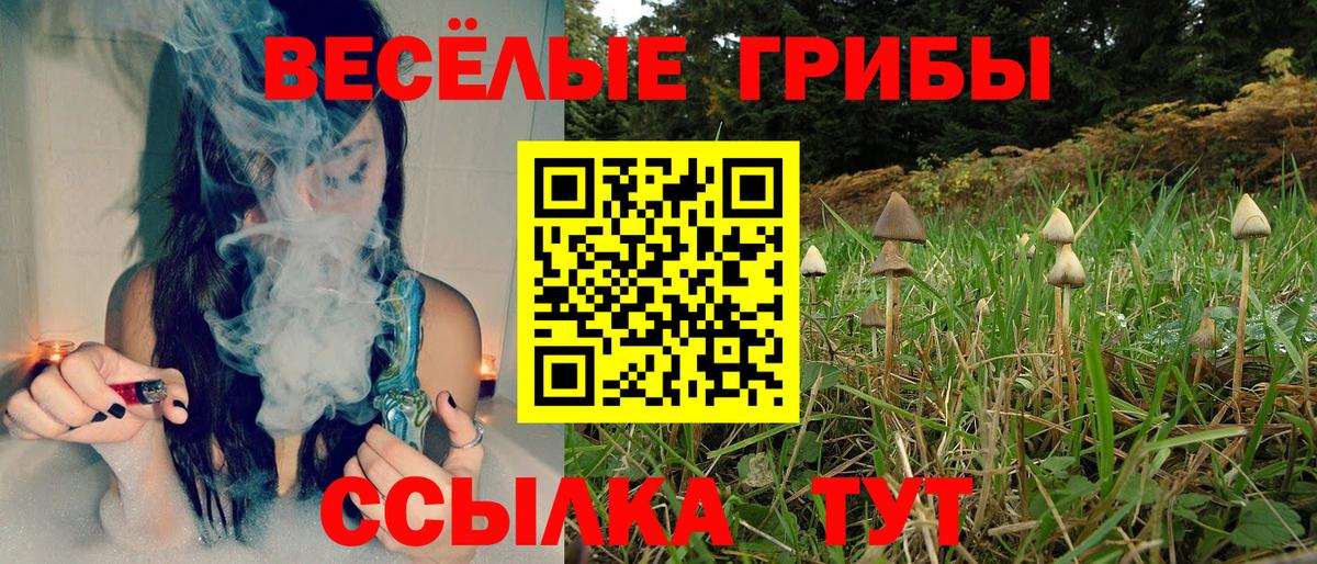 дарнет шоп  Галлюциногенные грибы ЛСД  Галлюциногенные грибы MAGIC MUSHROOMS  Вход с VPN  Верхний Уфалей 