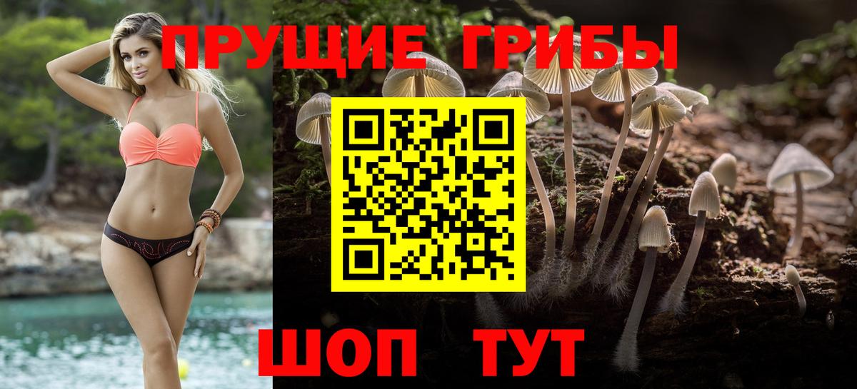Псилоцибиновые грибы Psilocybe Верхний Уфалей